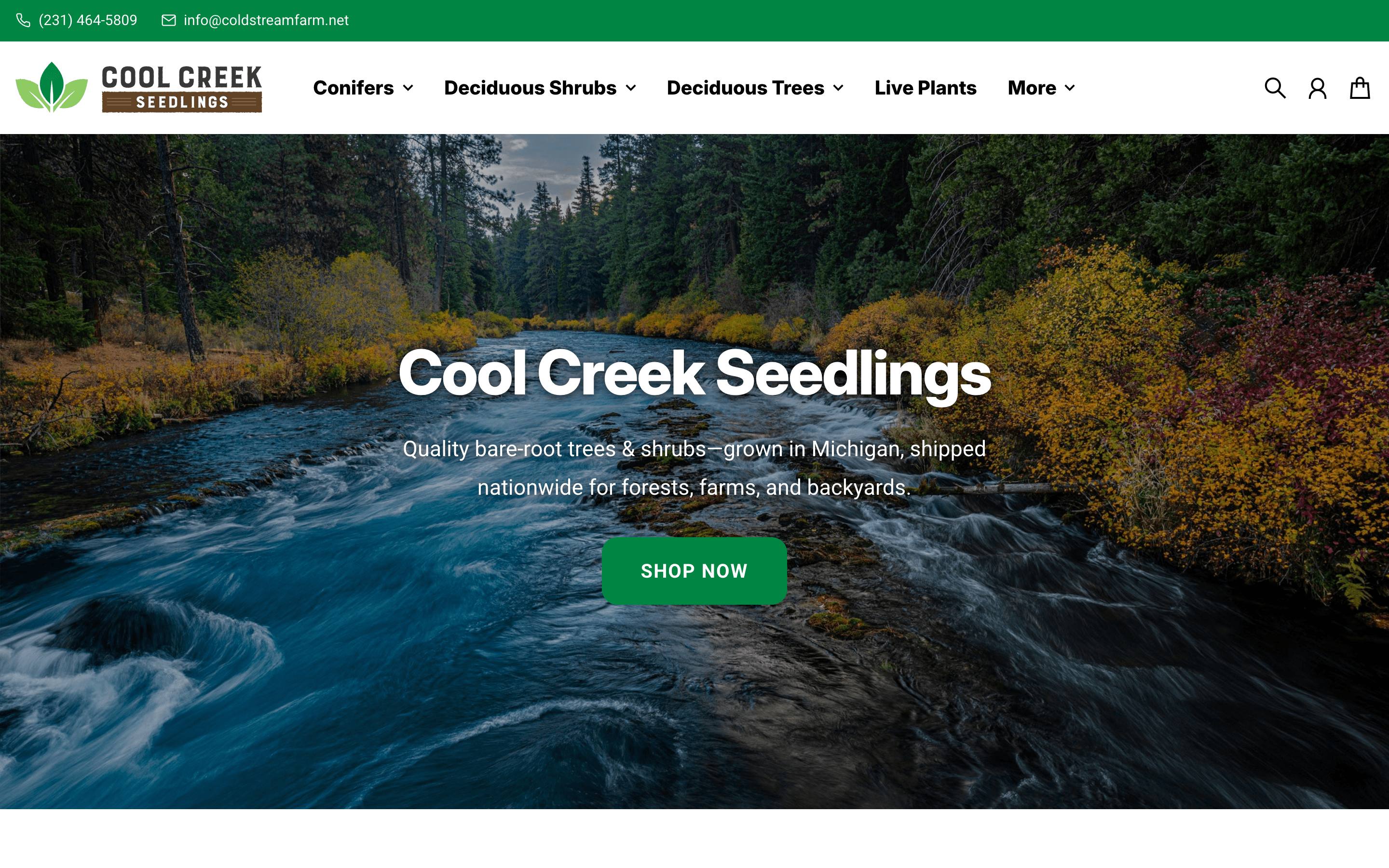 Cool Creek Seedlings